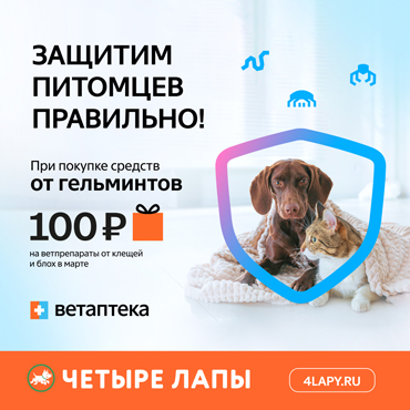 Акция в магазине «Четыре Лапы» Акция в магазине «Четыре Лапы»