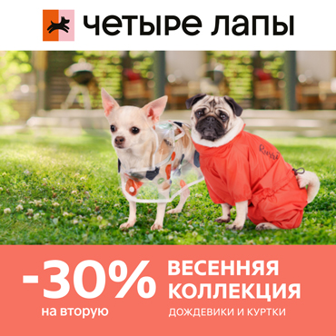 Скидка на одежду в зоосети «Четыре Лапы» Скидка на одежду в зоосети «Четыре Лапы»